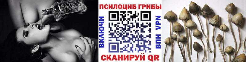 Псилоцибиновые грибы мицелий Артёмовск